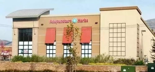 当国人还在反对中医的时候 美国已开设8000家中医诊所