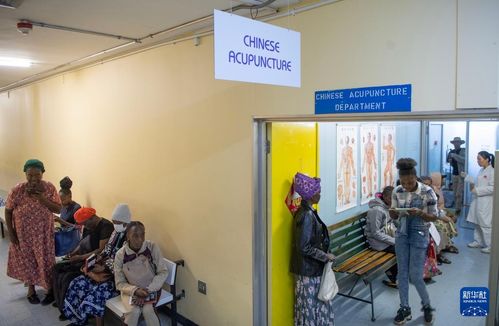 通讯 中国 针 功夫征服纳米比亚患者