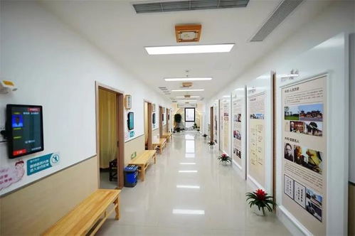 有一种幸福叫生活在嘉定 今年嘉定将交付使用10所学校,推动瑞金医院北部院区二期扩建等项目