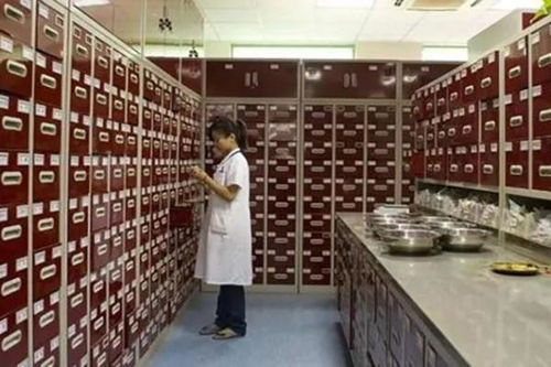 中医诊所的现状与发展趋势 传统与现代的融合