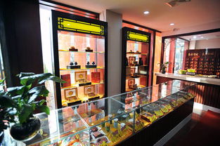 权威中医门诊世医堂落户泉城，为健康泉城注入新活力